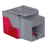 Ic1078l6gy - Conector Cat6 - Grey