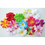 Icrafy 50 Cabezas De Flores De Seda Hawaianas Plumeria Frang