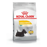 Alimento Perros Balanceado Royal Canin Mini Dermacomfort 3kg