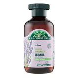 Antica Erboristeria Champú Iluminador De Lavanda Para Cabell