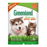 Semillas Hierba Para Gatos Perros 100g Greenland X 5 Sobres