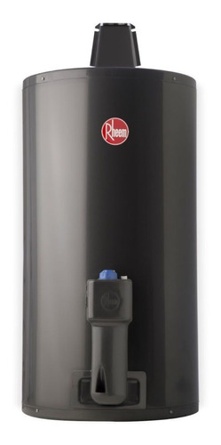 Termotanque Gas Natural Rheem 80 Litros Tgnc080rh Outlet