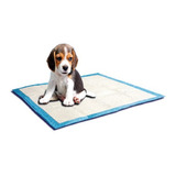 Pañales Entrenadores Perro 8pzs 58x56cm Puppy Trainer Sunny