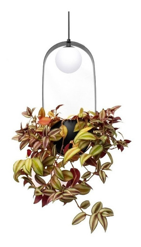 Pendente Jabuti Square Globo De Ø10cm E Suporte Para Plantas