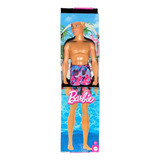 Muñeco Ken Barbie Playa Con Malla Mattel