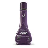 Shampoo Profissional Cachos 250ml Raiz Latina Limpeza Suave