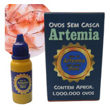 Ovos De Artêmia Sem Casca Maramar Para Alevinos 20ml