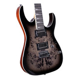 Guitarra Eléctrica Ibanez Grg220pa1-bkb