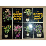 Así Se Cultivan Plantas De Interior 1 Y 2 Rob Herwig