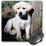 Mouse Pad Dibujo Cachorro Labrador Amarillo 8 X 8 Pulgadas