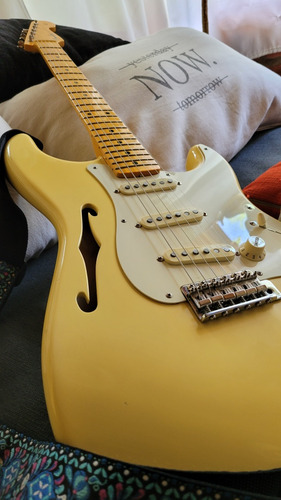 Fender Stratocaster Thinline - Eric Johnson Signature