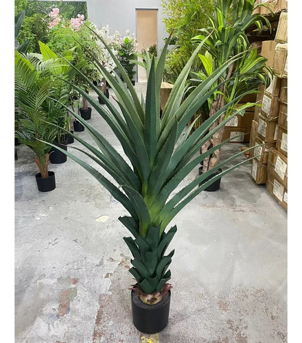 Planta Artificial Arvore Suculenta Agave Real Toque 1.25m