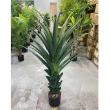 Planta Artificial Arvore Suculenta Agave Real Toque 1.25m