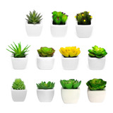 Set De 20 Mini Plantitas Suculentas Artificiales (a Elegir)