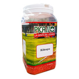 Semilla Cesped Pasto Picasso Kikuyo X 1 Kg Pote