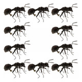 10 Simulación Hormigas Juguetes Patio Porche Pared
