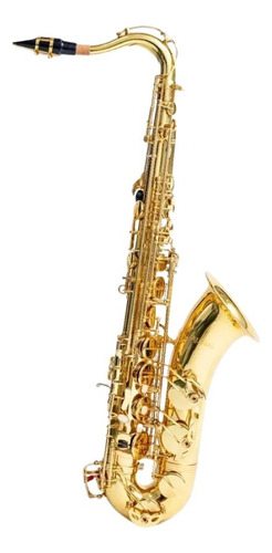 Saxofón Tenor Bb Laqueado Alta Calidad Kit Completo Aureal