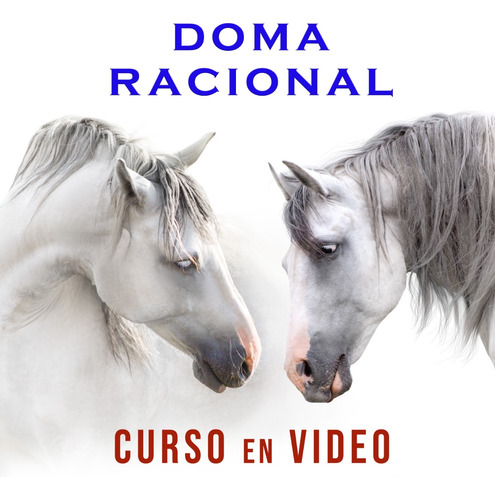 Curso Amanse Y Doma Racional En Video - Caballos Argentinos