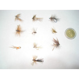 Moscas Secas Para La Pesca (combo X10u.)