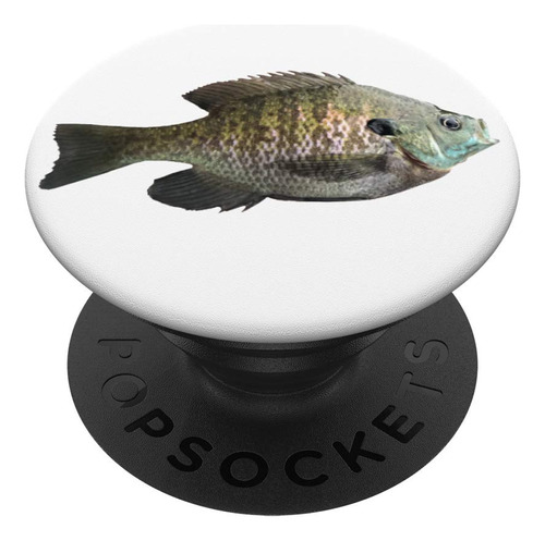 Pez Bluegill, Negro