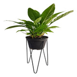 Suporte Vaso Plantas Flores Chão Tripe Médio 16x45cm Preto 