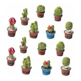 Conjunto De 14 Plantas De Maceta De Flores De Cactus Su...