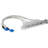 Cabezal Bracket Startech 4x Usb 2.0 C/conexión A Placa Base