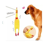 Pollo Chillón Grande 32 Cm Juguete Para Perros Sonido Real!