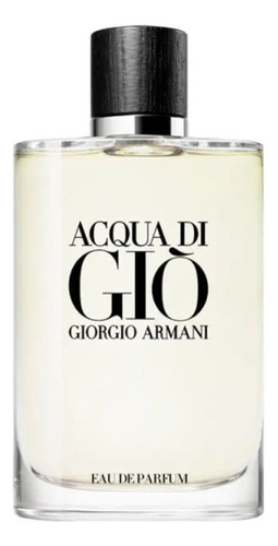 Perfume Armani Acqua Di Giò Masculino Eau De Parfum 200ml