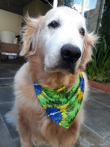 Bandana Para Cachorro Gato Em Lycra Brasil Tamanho Grande