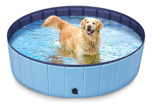 Piscina Plegable Para Perros, Piscina De Plástico Duro Pa