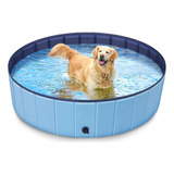 Piscina Plegable Para Perros, Piscina De Plástico Duro Pa