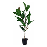 Planta Ficus Elástica// Gomero Artificial 96 Cm Con Maceta