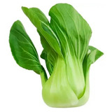 Semillas De Pak Choi Verde Organicas Ideal Huerta Cultivo