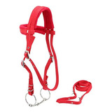 Brida De Caballo Ajustable Con Rienda Arnés Rojo Headstall C