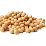 Poroto De Soya / Soja Formato 1kg. Agronewen