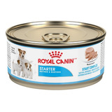 12 Latas Royal Canin Starter Madre Y Cachorro 145 Gr