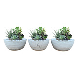 Kit 3 Vasos Decorativo Bacia N1 Plantas E Suculentas + Prato