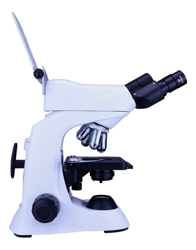 Zeigen Microscopio Biológico Óptica Al Infinito E-plana