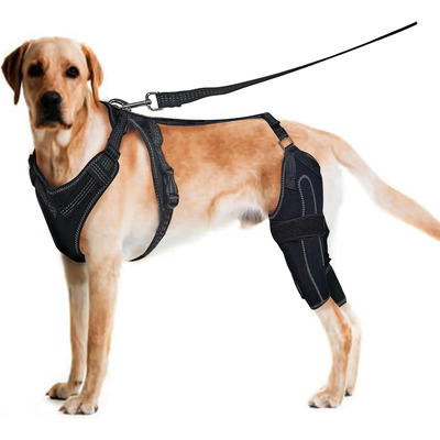 Férulas Para Patas De Perro Para Soporte De Rótula Dislocada