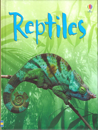 Reptiles - Usborne Beginners - Clarke, Catriona, De Clarke, Catriona. Editorial Usborne Publishing En Inglés, 2009