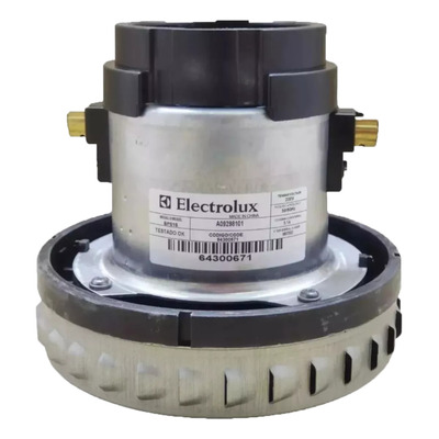 Motor Electrolux Bps1s 220v Aspirador Pó Água Soprador Pet