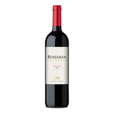 Vino Benjamin Nieto Senetiner Malbec 750ml Puro Escabio