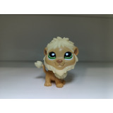 Littlest Pet Shop Sassiest  Leon #1004 Lps De Colección