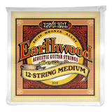 Encordado Acustica 12 Cuerdas Ernie Ball Earthwood 2012