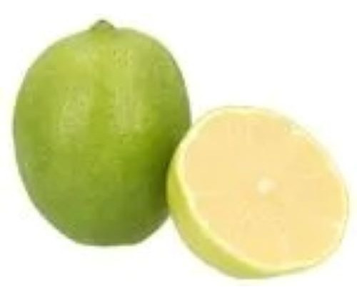 Limón Persa ( Árbol ) 1.20m Muy Bonitos Injertado