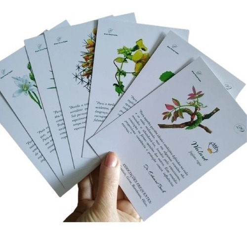 40 Cards Florais Do Dr. Edward Bach Tam. 10x15 Couche 300 Gr