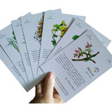 40 Cards Florais Do Dr. Edward Bach Tam. 10x15 Couche 300 Gr