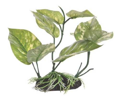 Planta Decorativa Para Acuario Fluval Cola De Lagarto 17 Cm