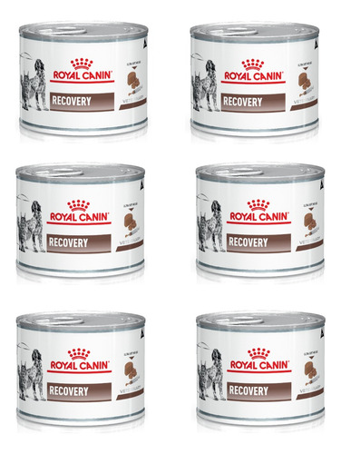 Royal Canin Recovery Lata X 195 Grs Pack X 6 Kangoo Pet